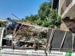 Professional Junk Removal in Croswell, MI